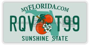 RQVT99  license plate in FL