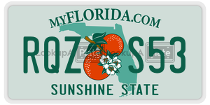 RQZS53  license plate in FL