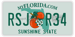 RSJR34  license plate in FL