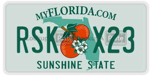 RSKX23 license plate in Florida