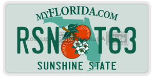 RSNT63 license plate in Florida