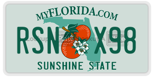 RSNX98 license plate in Florida