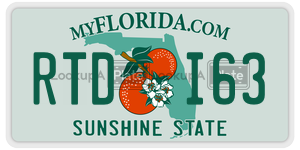 RTDI63 license plate in Florida