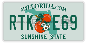RTKE69  license plate in FL