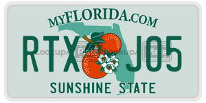 RTXJ05 license plate in Florida