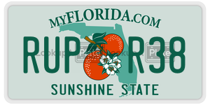RUPR38 license plate in Florida