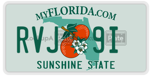 RVJ9I  license plate in FL