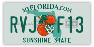 RVJF13  license plate in FL