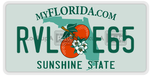 RVLE65  license plate in FL