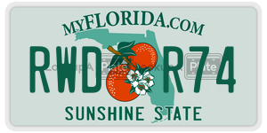 RWDR74 license plate in Florida