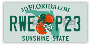 RWEP23  license plate in FL