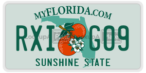 RXIG09  license plate in FL