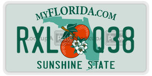 RXLQ38  license plate in FL