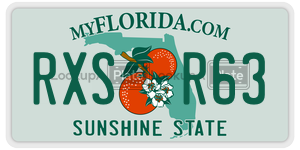 RXSR63 license plate in Florida
