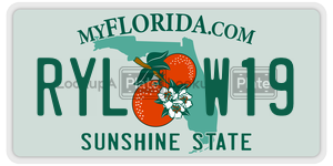RYLW19  license plate in FL