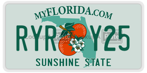 RYRY25 license plate in Florida