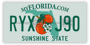 RYXJ90  license plate in FL