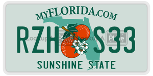 RZHS33 license plate in Florida