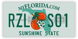 RZLS01  license plate in FL