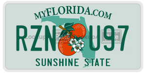 RZNU97  license plate in FL