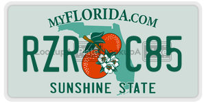 RZRC85  license plate in FL
