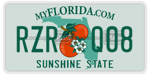 RZRQ08 license plate in Florida