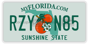RZYN85  license plate in FL