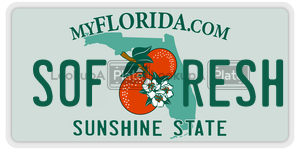 S0FRESH  license plate in FL