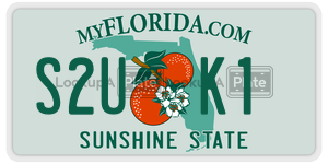 S2UK1 license plate in Florida