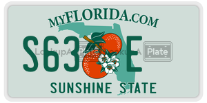 S63E  license plate in FL
