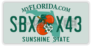 SBXX43  license plate in FL
