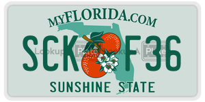 SCKF36  license plate in FL