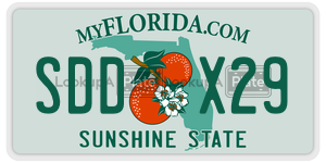 SDDX29 license plate in Florida