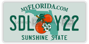 SDLY22  license plate in FL