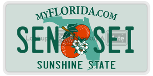 SENSEI  license plate in FL