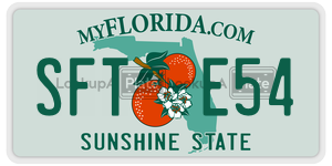 SFTE54  license plate in FL