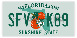 SFVK89  license plate in FL