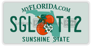 SGLT12 license plate in Florida