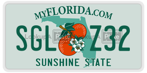 SGLZ32  license plate in FL