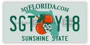SGTY18  license plate in FL