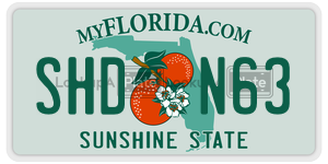 SHDN63  license plate in FL