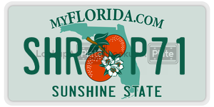 SHRP71  license plate in FL