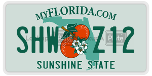 SHWZ12  license plate in FL
