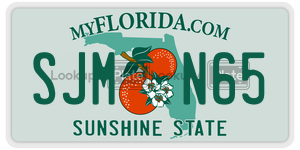 SJMN65  license plate in FL