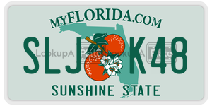 SLJK48  license plate in FL