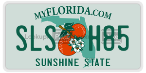 SLSH85 license plate in Florida