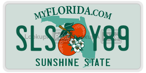 SLSY89  license plate in FL