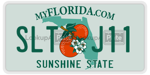 SLTJ11 license plate in Florida