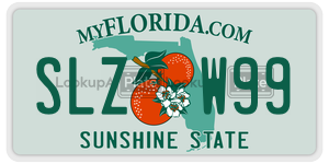 SLZW99  license plate in FL