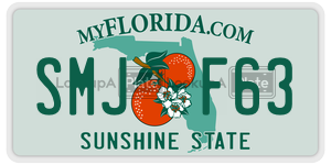 SMJF63  license plate in FL